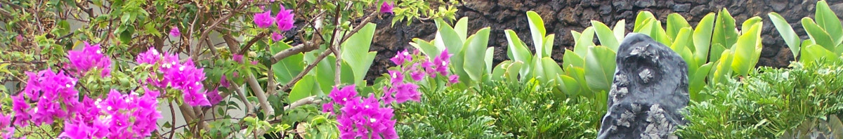 Hawaii Island Landscaping
