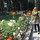 fatma_benazouz