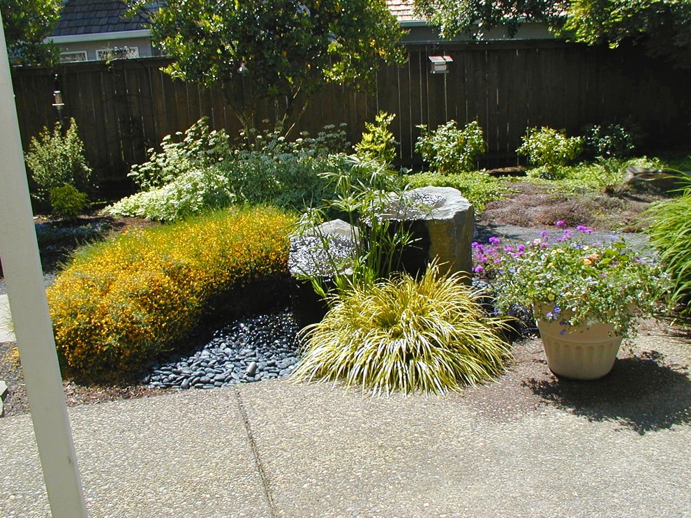 На фото: участок и сад среднего размера в стиле фьюжн