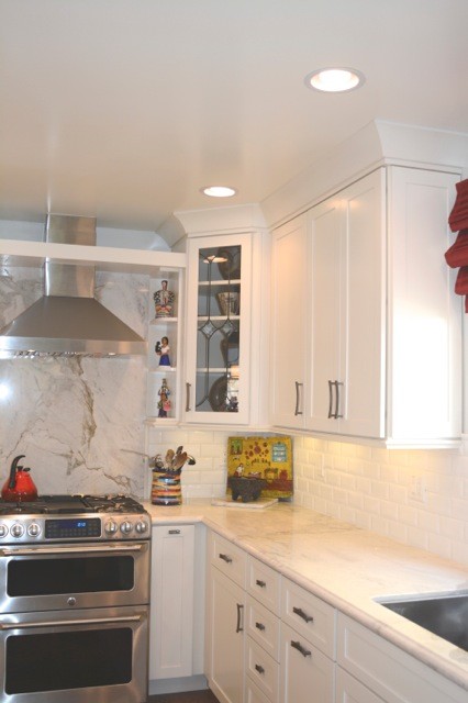 Inspiration for a transitional kitchen remodel in Los Angeles
