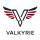 Valkyrie Investment Group Inc.