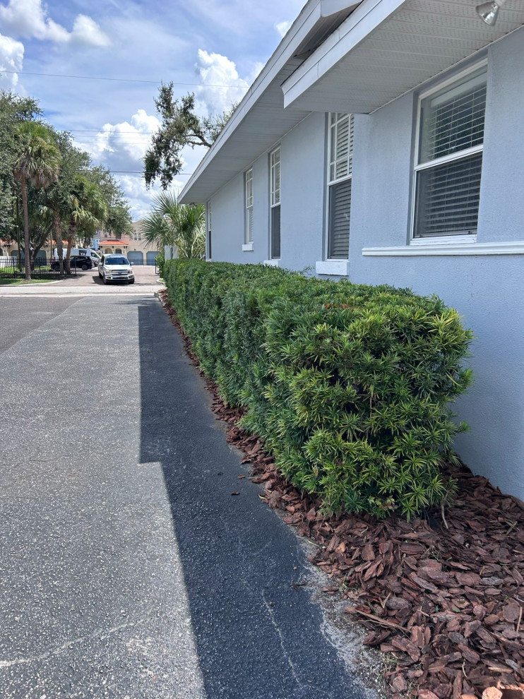 Law Office Landscape Revamp and Design