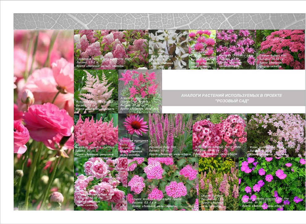 Тематический парк для проведения торжеств (ресторанный комплекс)