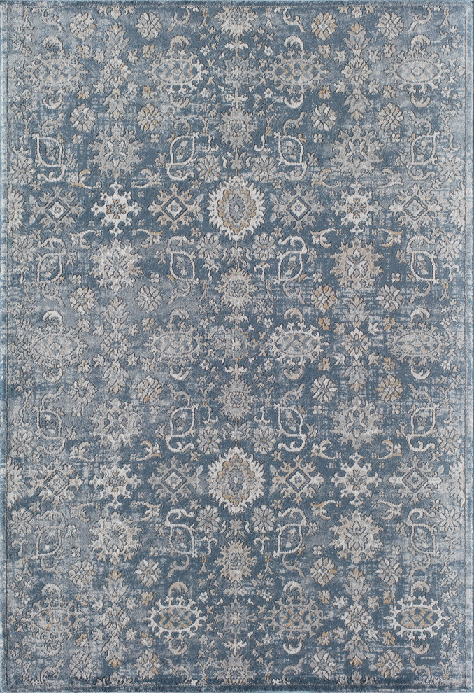 Rugs America MD10A Area Rug 5'3 x 7'0 Palace Blue 