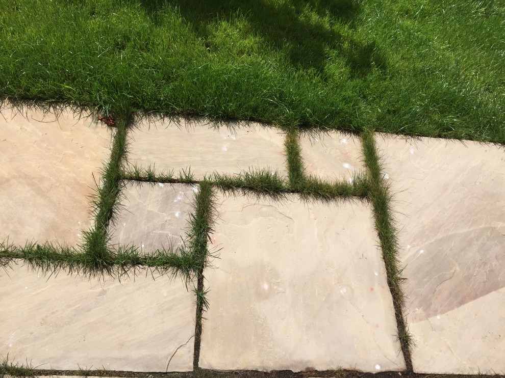 К/П Голицыно-9