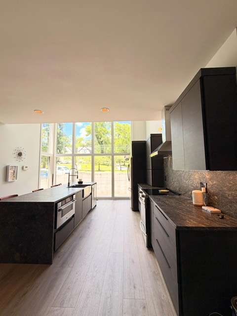 David & Steven Kitchen Remodel