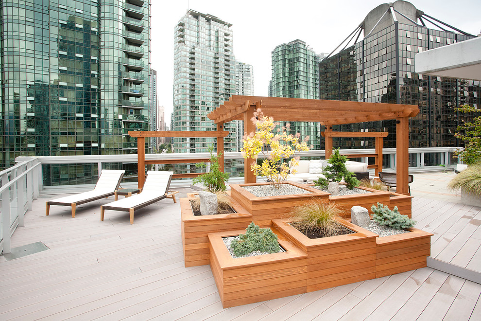 Photo of a contemporary rooftop and rooftop deck in Vancouver with a container garden and no cover.