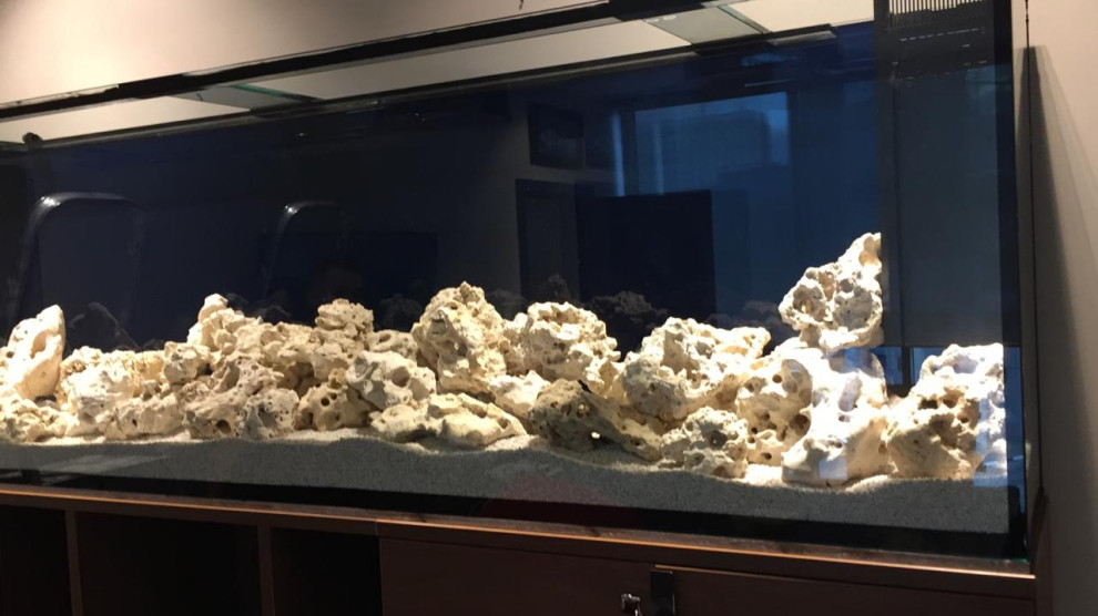 Аквариум в интерьере