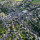 david_trevelyan48