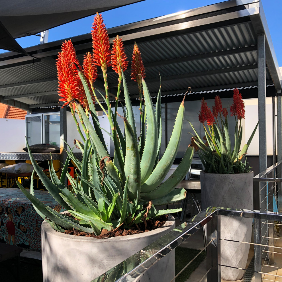 Design ideas for an industrial balcony in Perth.