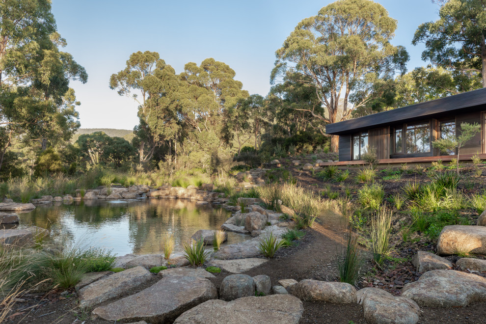 Inspiration for a modern garden in Hobart.