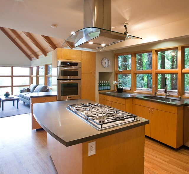 Previous Interior Projects transitional-kitchen