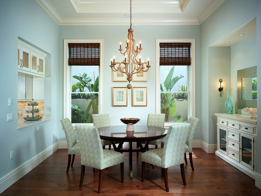 Photo of a tropical dining room in Miami with blue walls and dark hardwood floors.