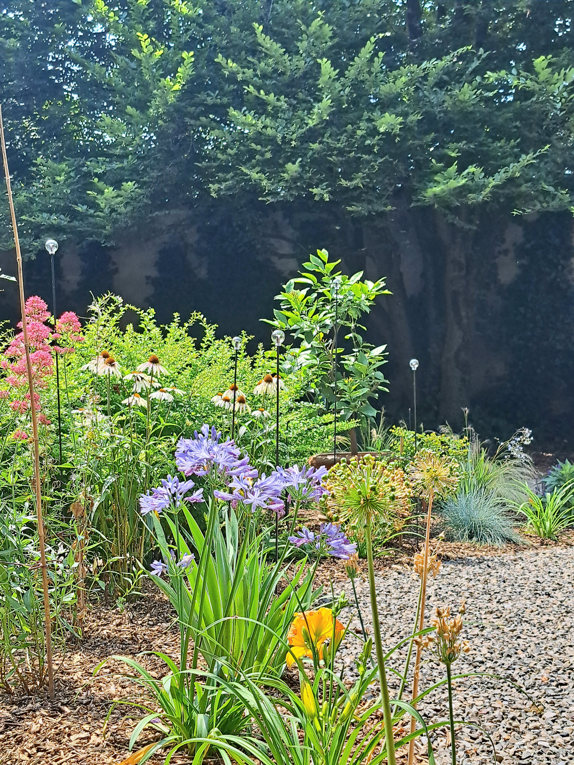 Giardino privato P.S.