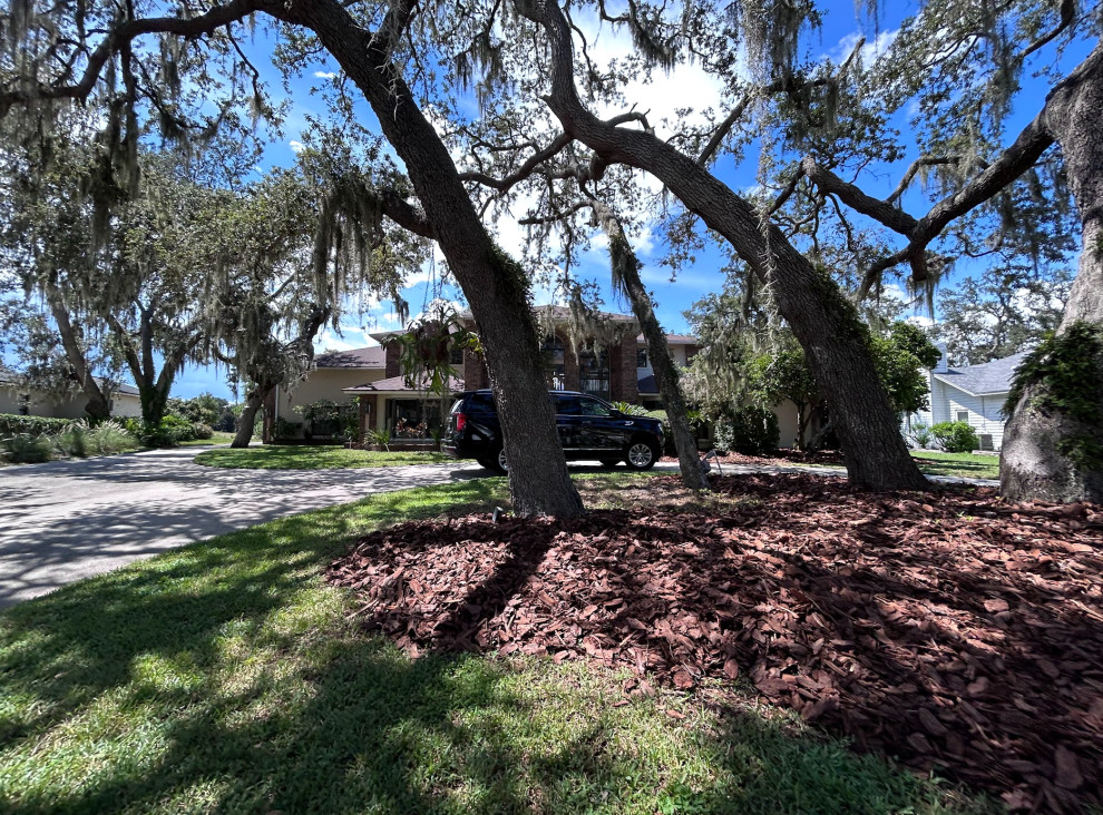 New Mulch Design and Installation