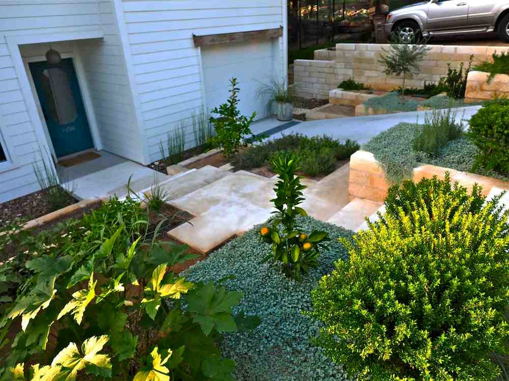 Photo of a modern garden in Austin.