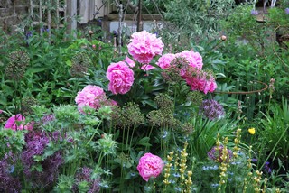 Yard of the Week: Seasons of Blooms in an Idyllic English Garden (13 photos)