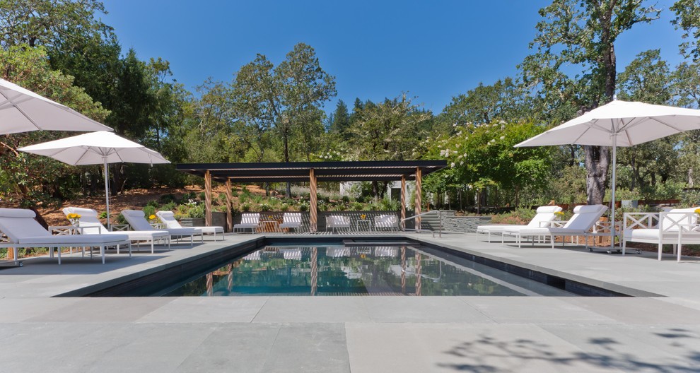 Design ideas for a contemporary rectangular pool in San Francisco with concrete pavers.