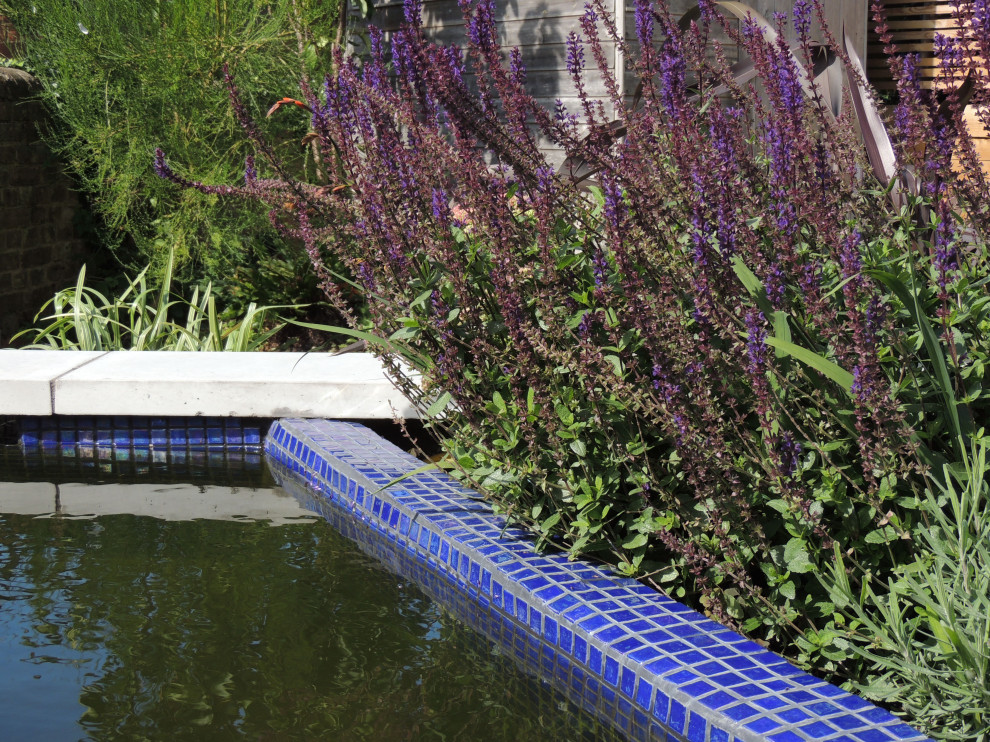 Idee per una piccola piscina naturale minimal rettangolare dietro casa con paesaggistica bordo piscina e pavimentazioni in mattoni