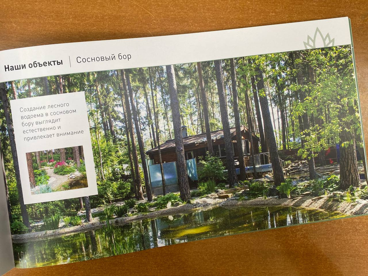 Публикации в прессе