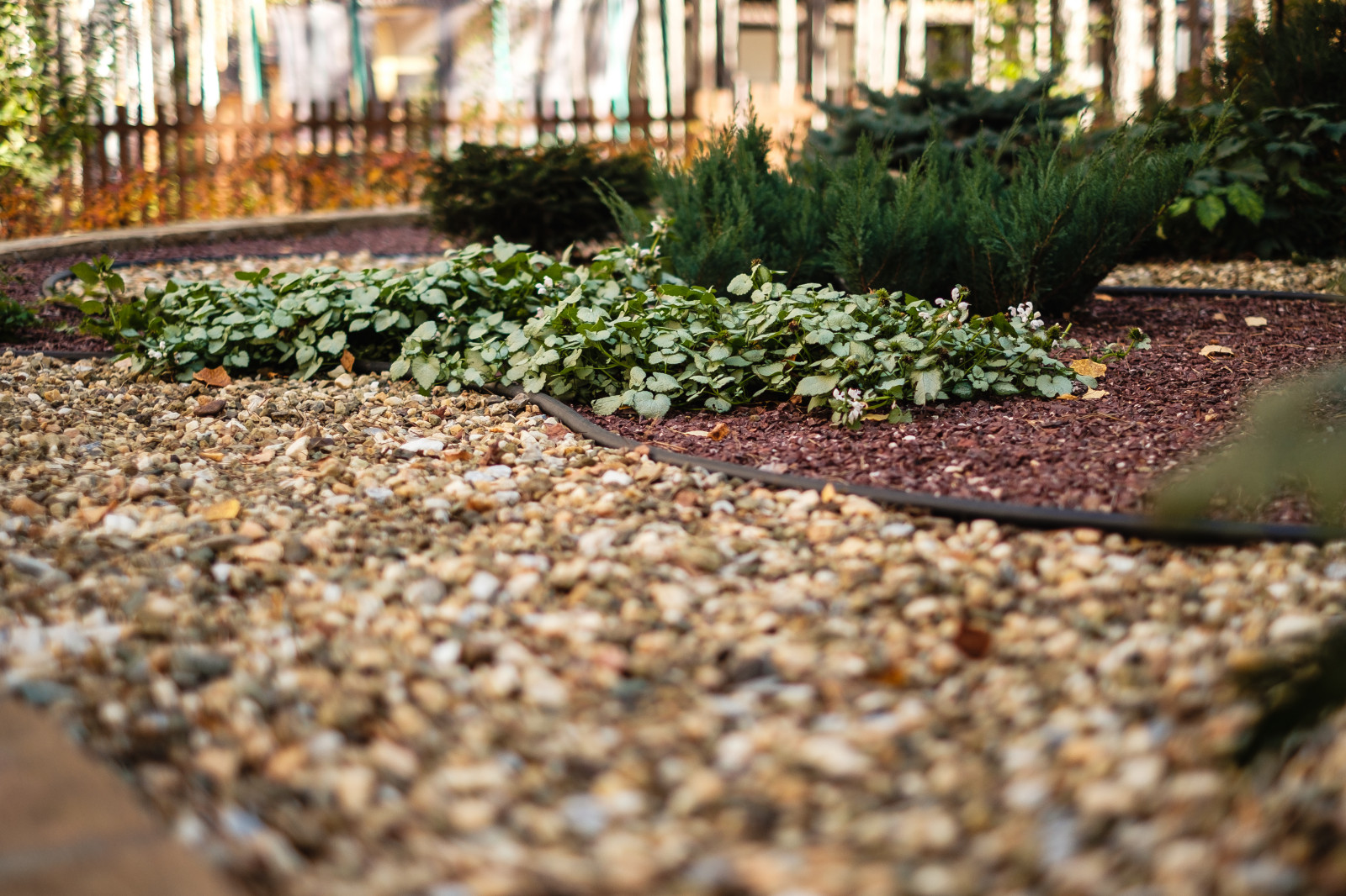 У леса на опушке