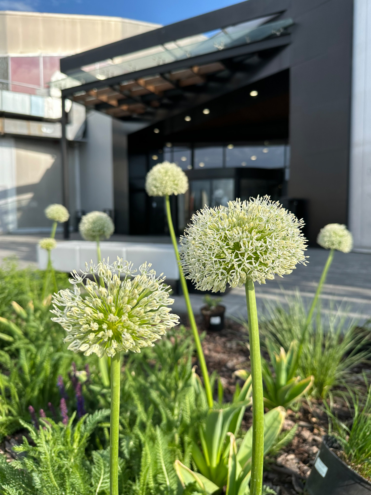 Благоустройство ландшафта торгового центра