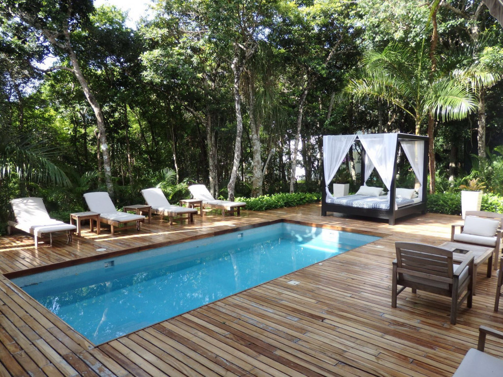Immagine di una piscina monocorsia tropicale rettangolare di medie dimensioni e in cortile con paesaggistica bordo piscina e pedane