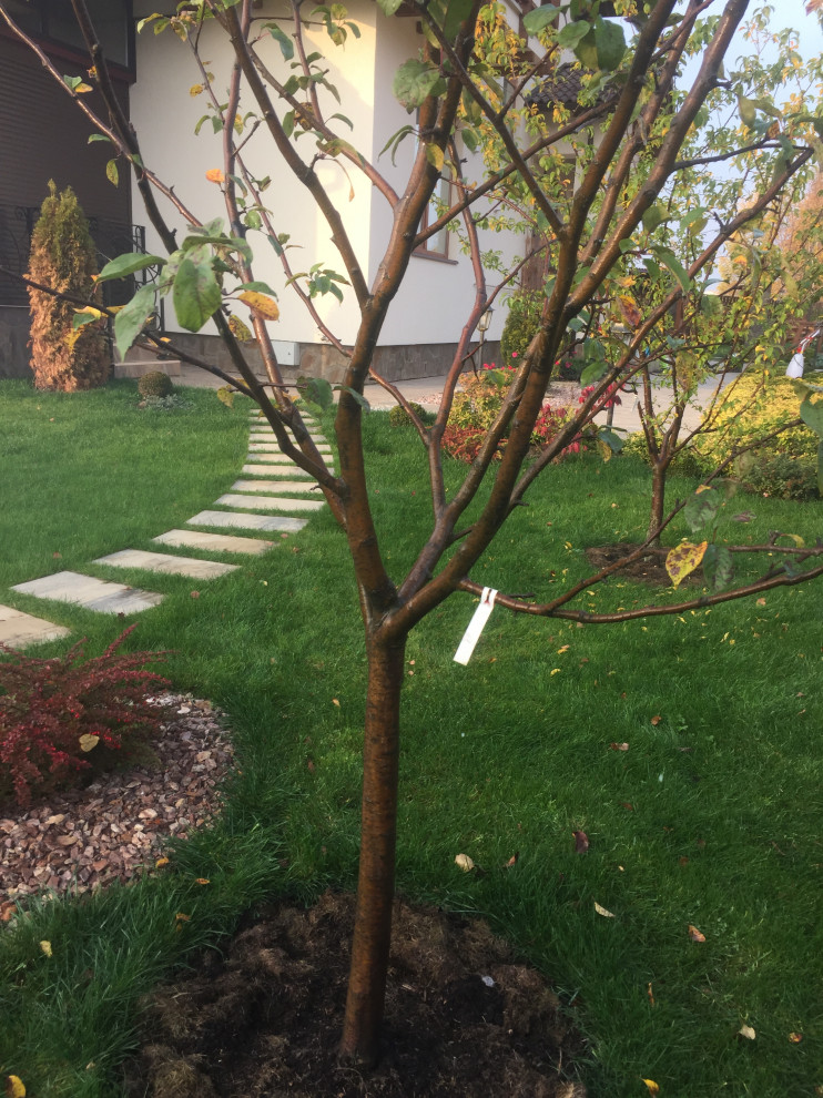 Ландшафтный дизайн участка треугольной формы