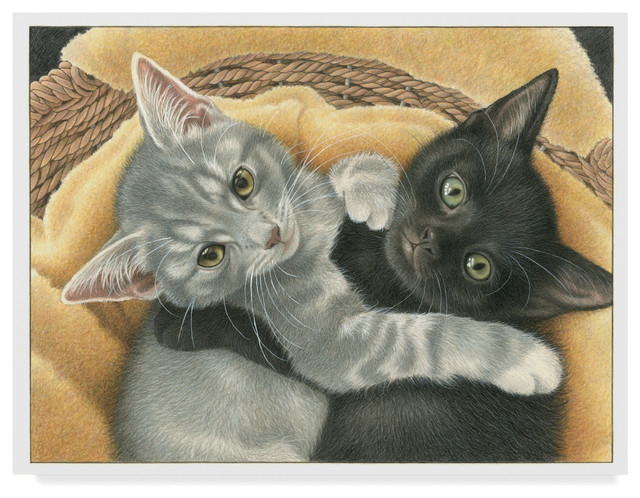 grey and black kitten