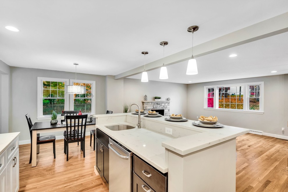 Kitchen - transitional kitchen idea in Boston