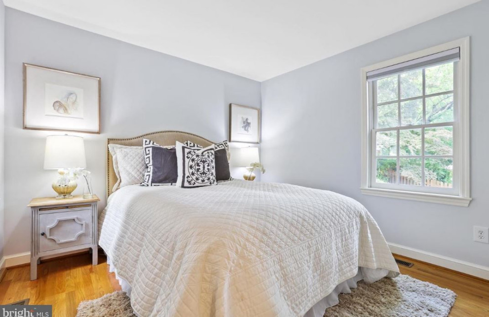 ワシントンD.C.にあるトランジショナルスタイルのおしゃれな主寝室 (青い壁、淡色無垢フローリング)