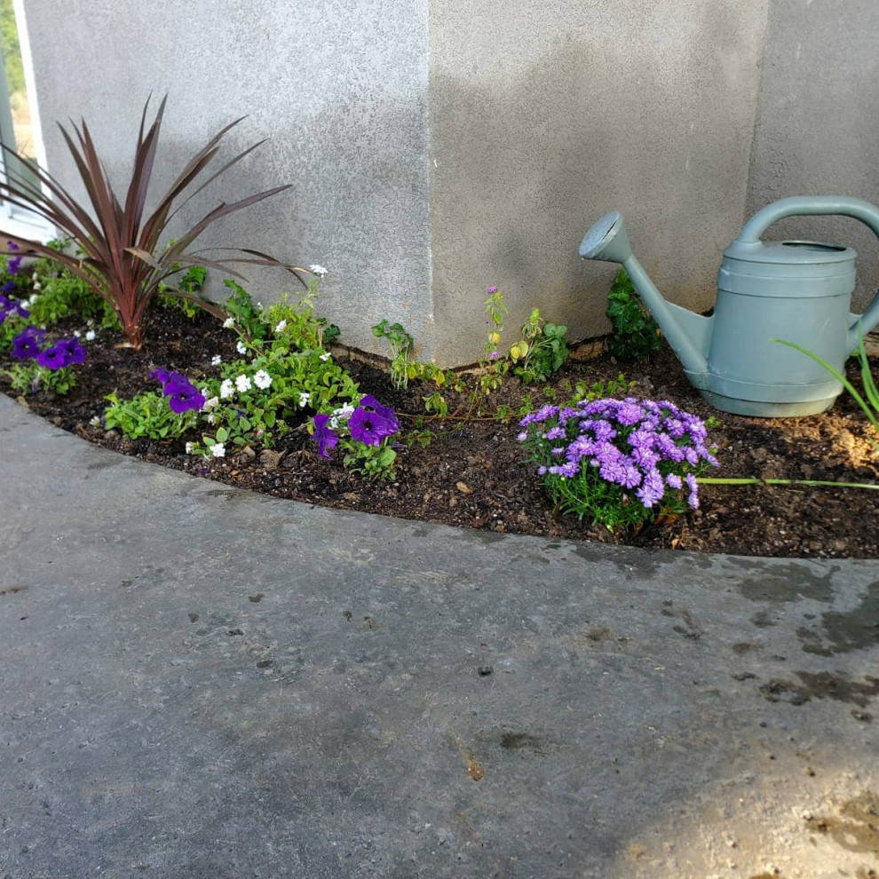 Immagine di un piccolo giardino classico esposto a mezz'ombra davanti casa in primavera con pacciame