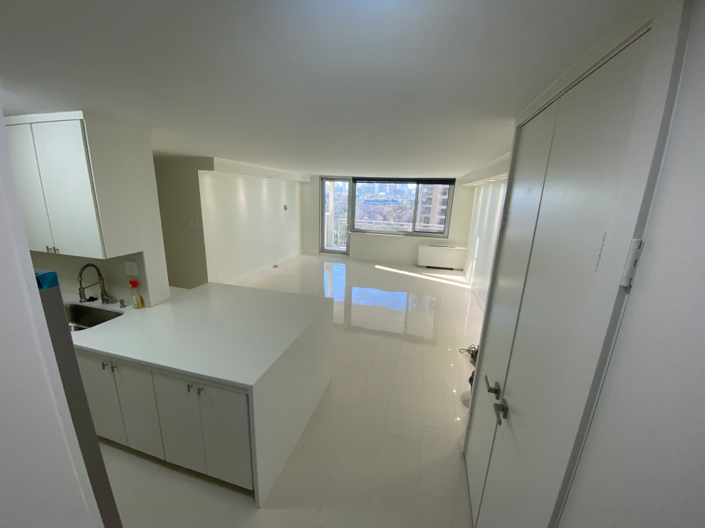Kitchen and Living Space Remodel