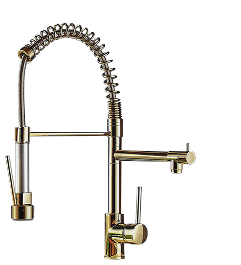 Brewst Luxury Pull Out Sprayer Kitchen Faucet Single Hole Double Spout Contemporary Kitchen