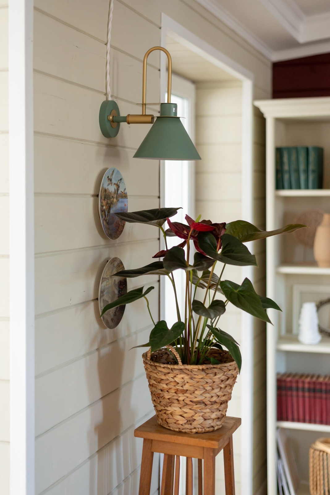 Панфилов Дача