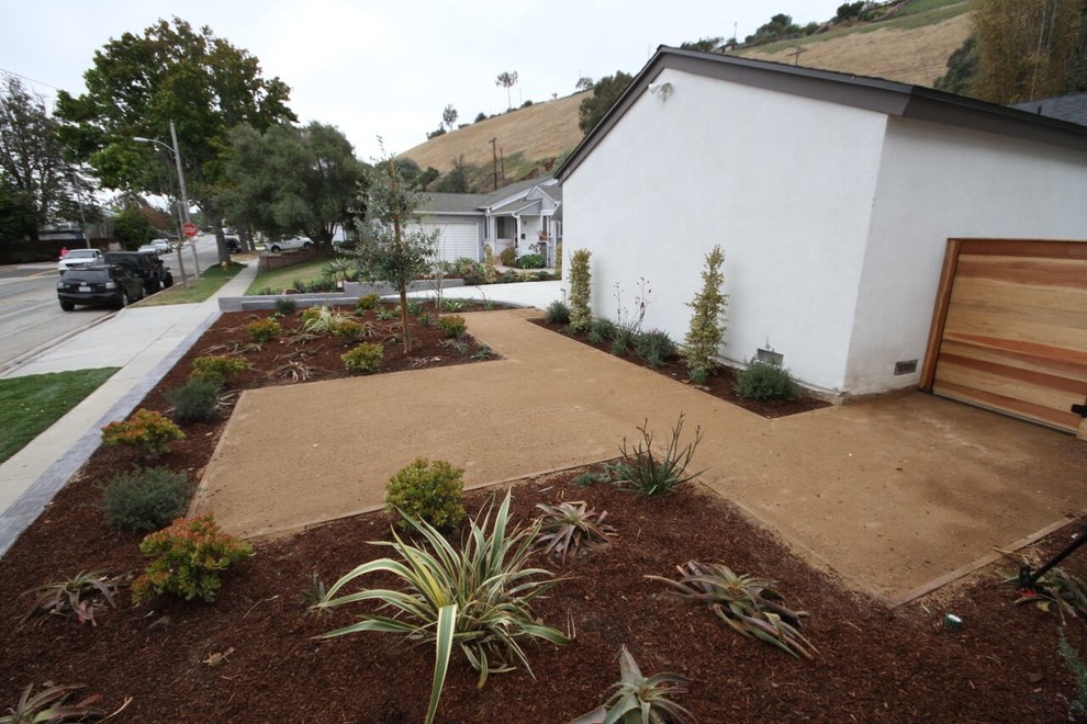 Inspiration for a mid-sized transitional front yard mulch landscaping in Phoenix.