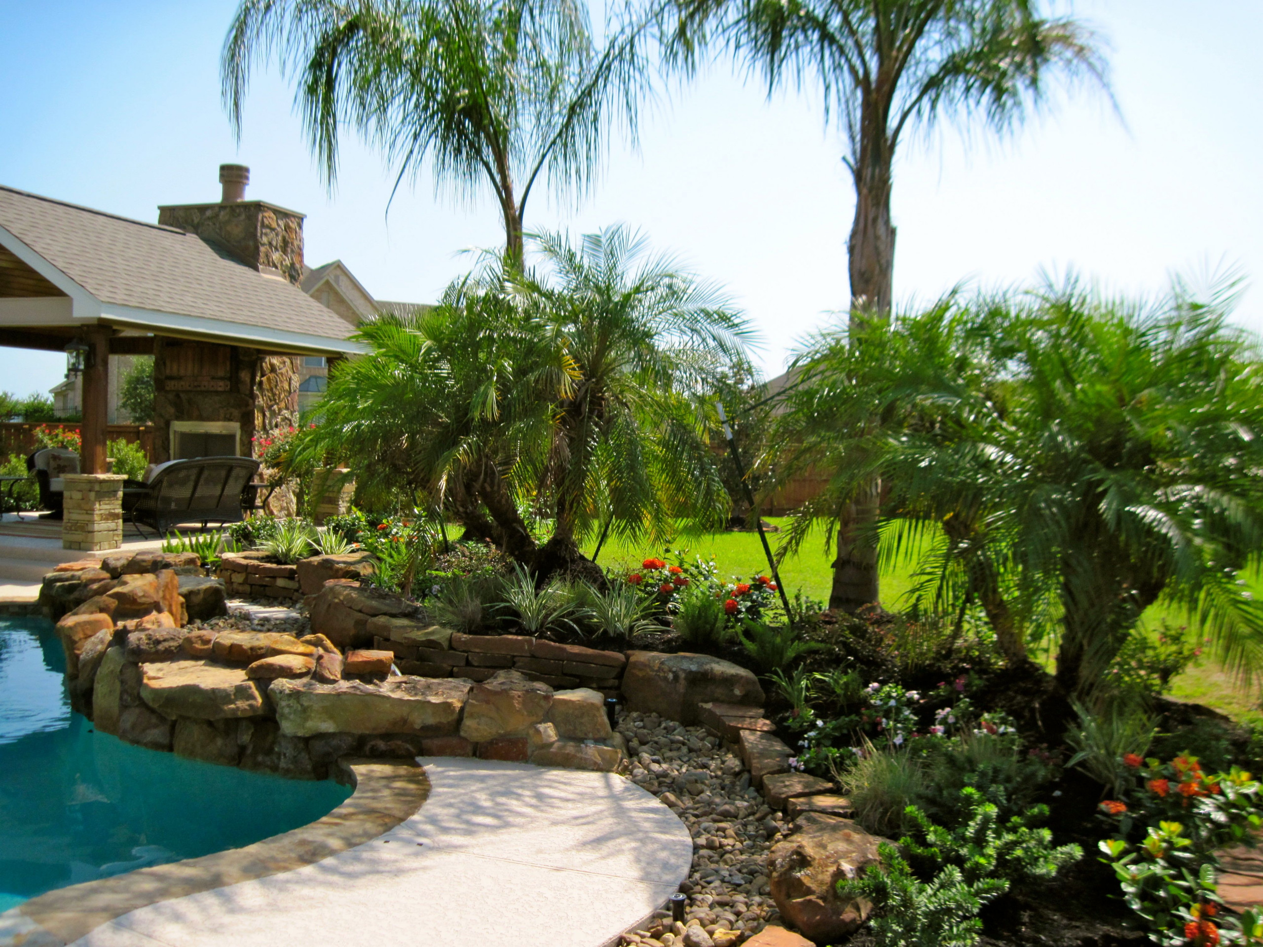 Backyard pool landscape