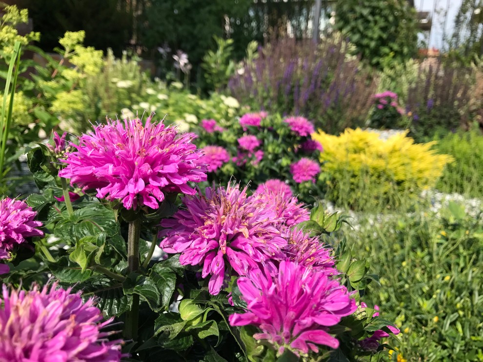 Легкий фьюжн 0.25 га