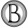 Burg Homes LLC