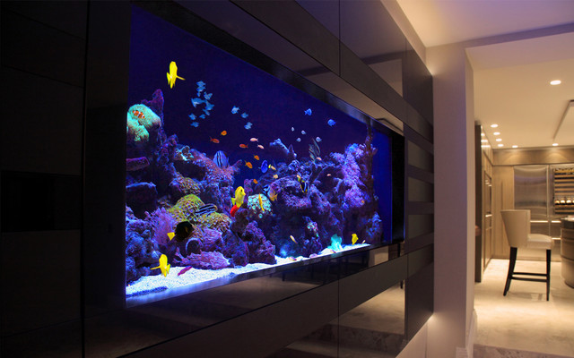 13 Of The Best Home Aquarium Designs On