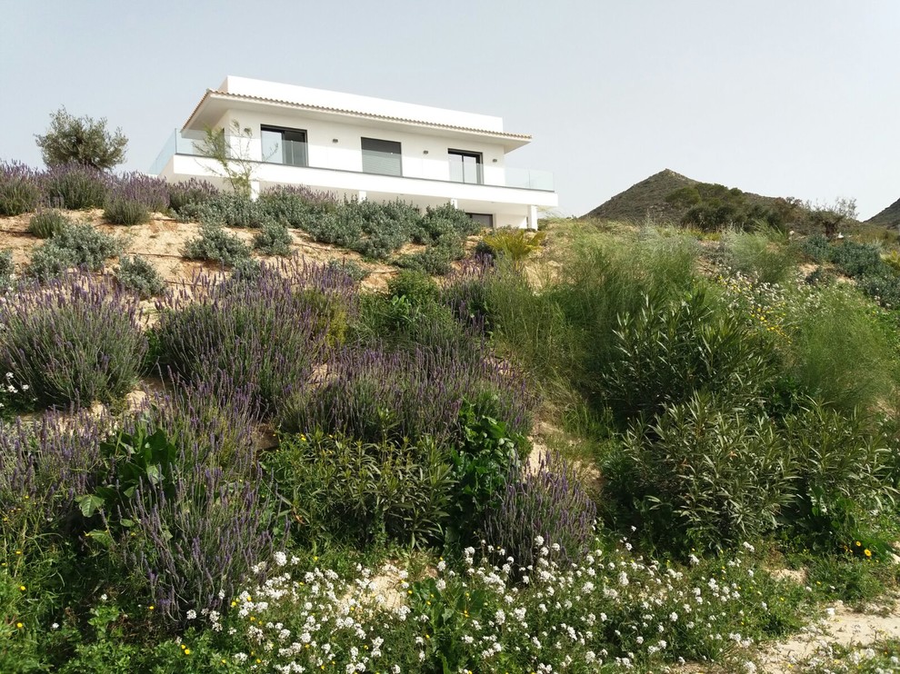 Modelo de camino de jardín mediterráneo con exposición total al sol