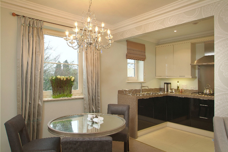 Large contemporary kitchen.
