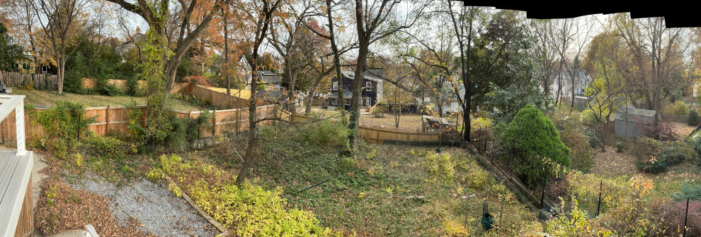 Native Landscape Restoration & Invasive Removal