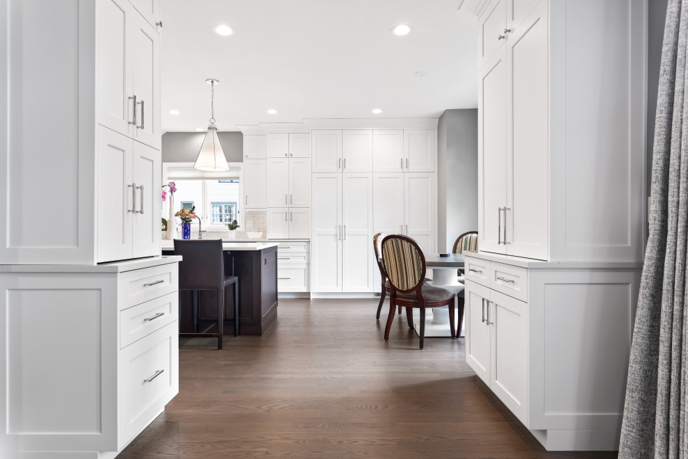 Transitional home design photo in Chicago