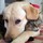 mike_borders5675