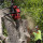 Ultimate Cut Tree Service