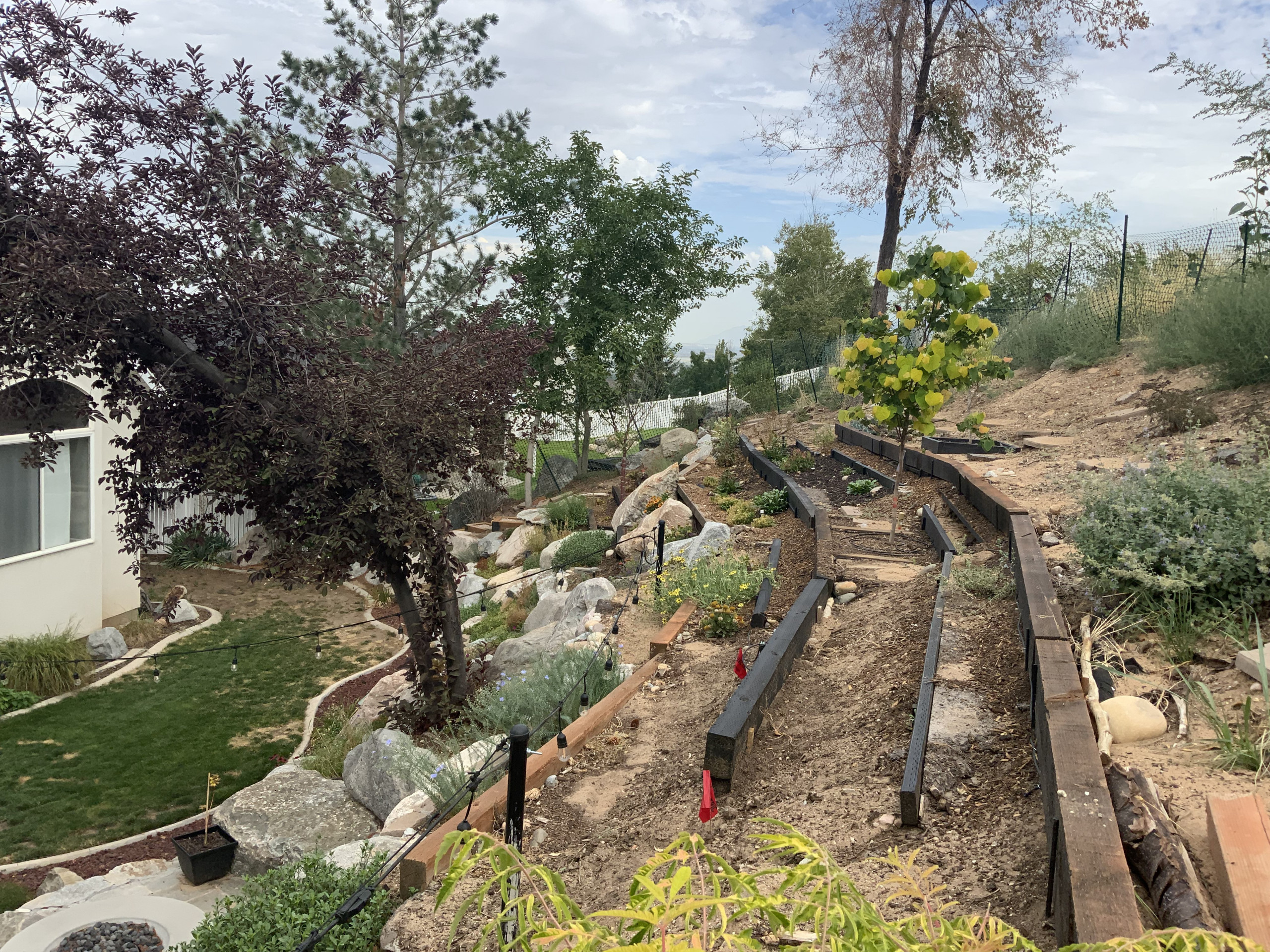 Natural Rock Garden