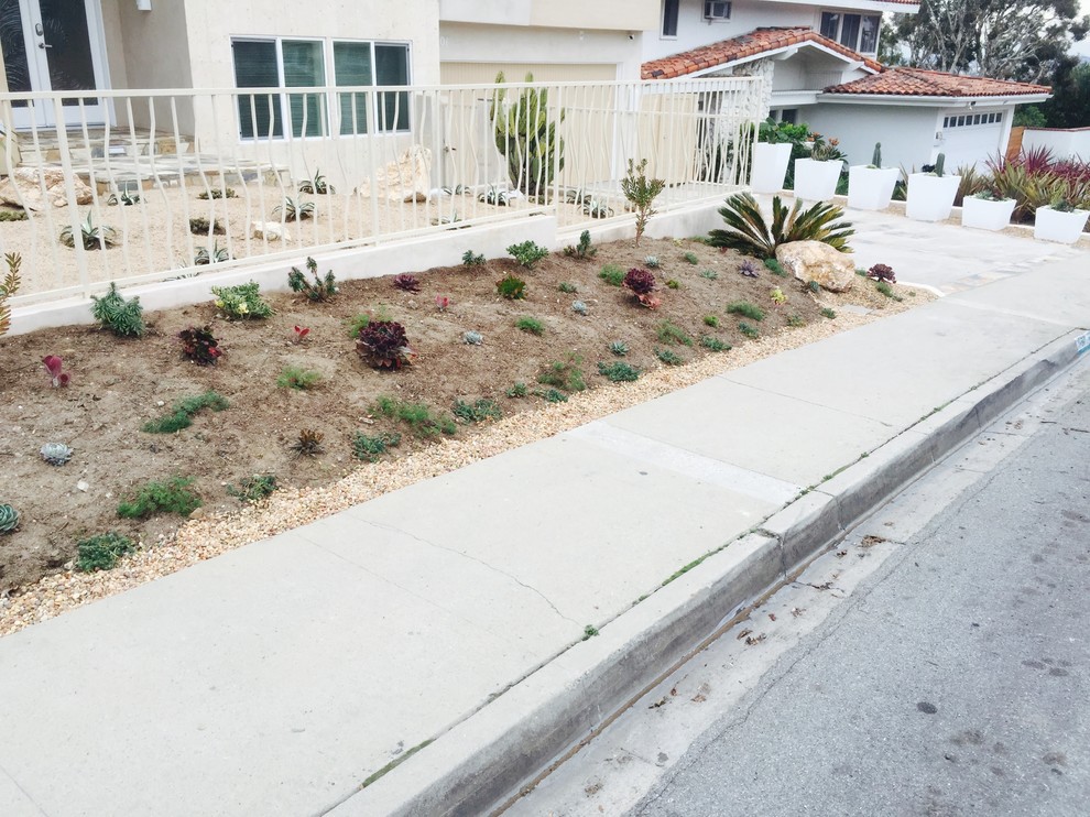 This is an example of a mid-sized and desert look contemporary front yard full sun xeriscape in Orange County with gravel.