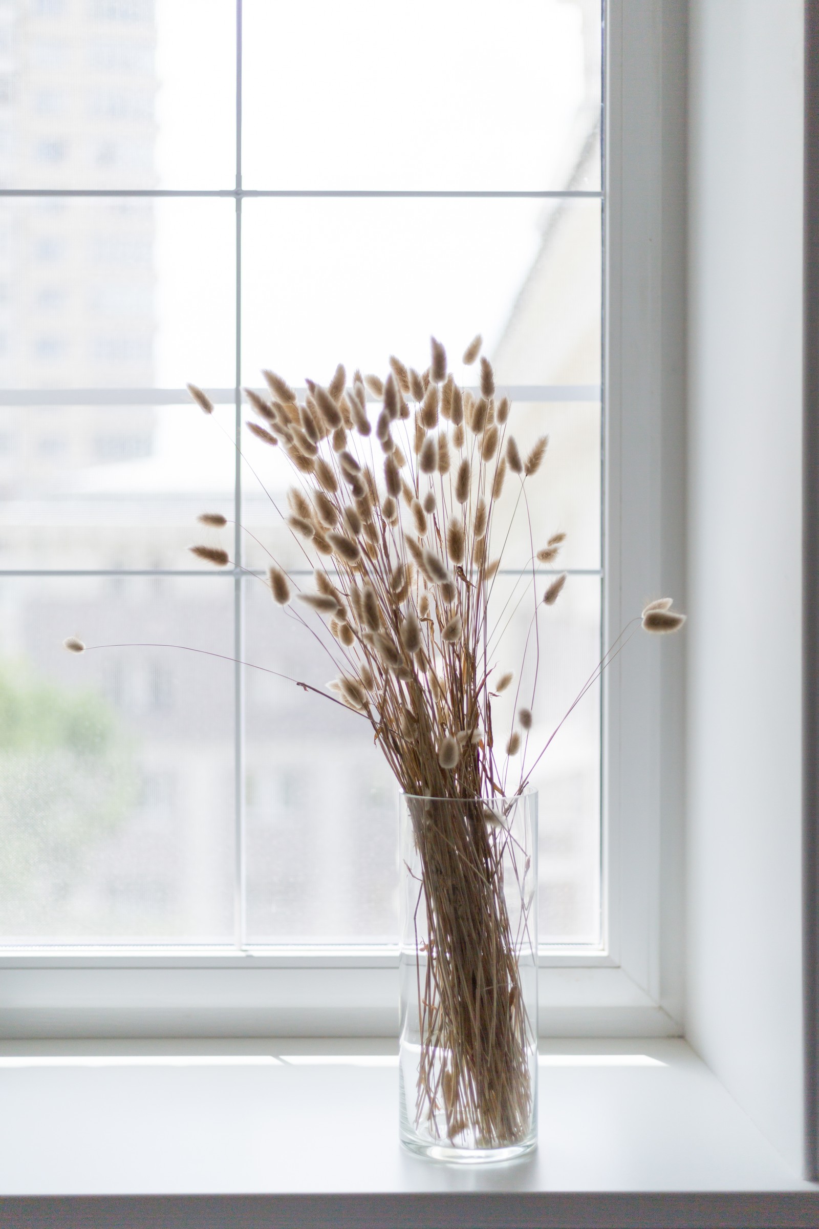 Фотосессия: кухня Холли Голайтли