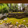 株式会社  荒木造園設計